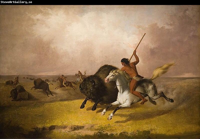 John Mix Stanley Buffalo Hunt on the Southwestern Prairies